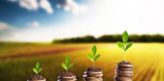 Productia de culturi, de cinci ori mai profitabila decat productia de masini si la fel de profitabila ca IT in Romania