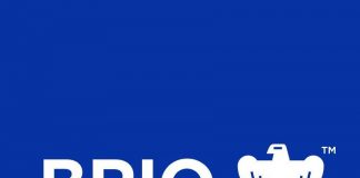 Brio, prima platforma educationala din Romania