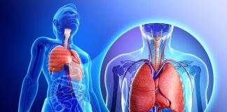 9 remedii pe baza de plante impotriva problemelor respiratorii