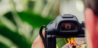 Cel mai des întâlnite tipuri de fotografii și cum le realizezi