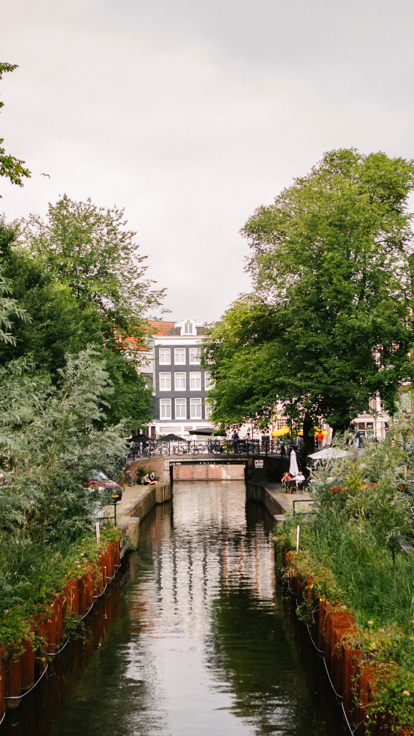 Un canal de oras ingust si calm in timpul unei zile innorate.  Ambele maluri sunt luxuriante cu verdeata inalta.  Pe ambele parti ale canalului sunt siruri de case inguste.