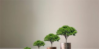 Care sunt diferențele dintre investiții și economisire