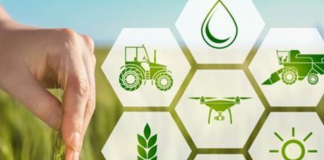 Managementul culturilor agricole: provocări și soluții