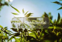 Pentru ce se folosește CBD?