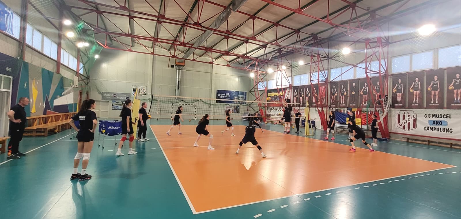volei.jpeg