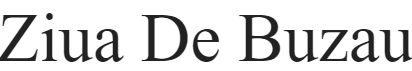 ziuadebuzau.ro